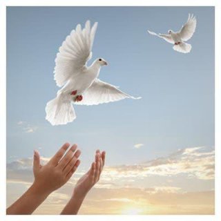 غبار غم برود حال خوش شود حافظ........امید تازه مویرگی